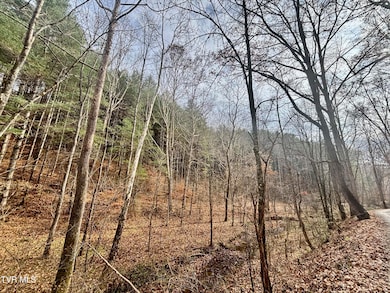 TBD Yellow Branch Rd, Rose Hill, VA 24281 - photo 2