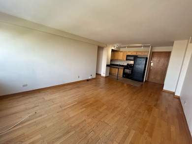 4180 N Marine Dr unit 1311, Chicago, IL 60613 - photo 5