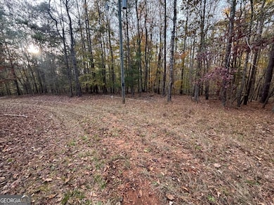 1511 N Rainbow Dr, Elberton, GA 30635 - photo 2