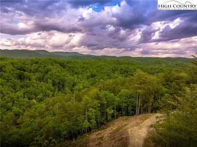 289 Ninebark Rd, Boone, NC 28607 - photo 5