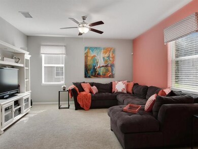 Plenty of light in the family room!