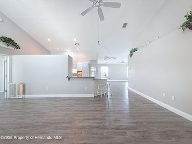 3342 Turks Cap Dr, Hernando Beach, FL 34607 - photo 6