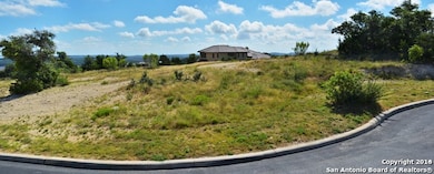 23806 Andora Ridge, San Antonio, TX 78255 - photo 3