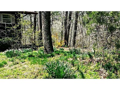 9 Grisham Ln, Bella Vista, AR 72715 - photo 6