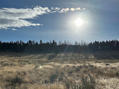 Nhn Mayn Creek Rd, White Sulphur Springs, MT 59645 - photo 7