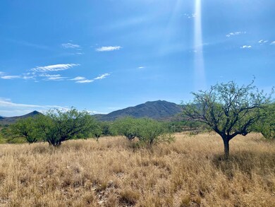 3 - Santa Rita Foothills