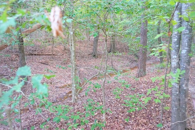 TBD Bob o Link Rd, Gilmer, TX 75645 - photo 3