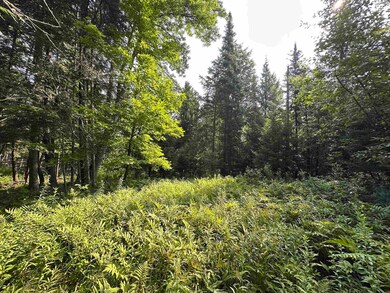 001 Elmore Pond Rd, Wolcott, VT 05680 - photo 6