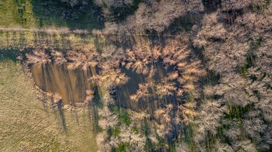 Aerial view with a view of trees
