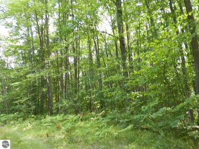 NA Canton Trail, West Branch, MI 48661 - photo 4