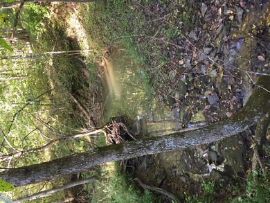 Tract 3 Mudlick Rd, Lawrenceburg, KY 40342 - photo 2