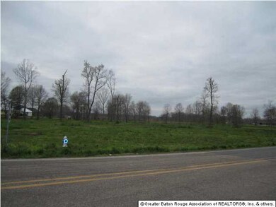 1.19 Cleared acres zoned Commercial