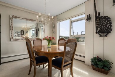 Hammond Park Condominiums unit 602, Chestnut Hill, MA 02467 - photo 4