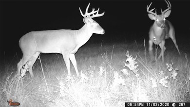 0000 Farm To Market Road 2071, Gainesville, TX 76240 - photo 3