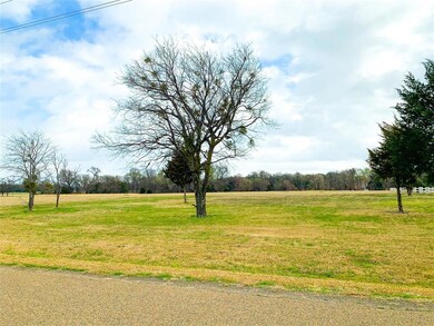 Lot 57 Grandview Dr, Corsicana, TX 75109 - photo 5