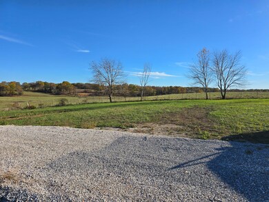 13621 Farm Road 2175, Cassville, MO 65625 - photo 6