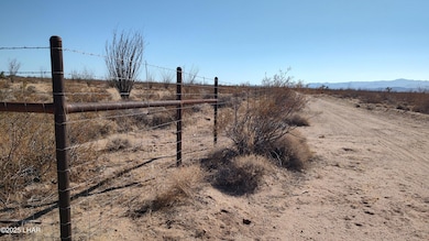 14162 Red Lake, Yucca, AZ 86438 - photo 2