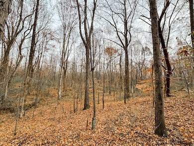 County Road 501, Lexington, AL 35648 - photo 4