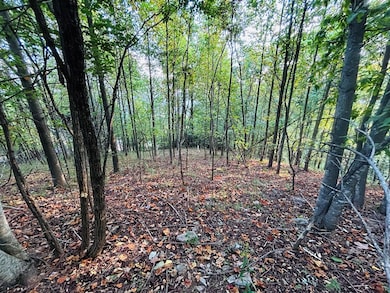 TBD Morning Side Trail, Fancy Gap, VA 24328 - photo 7