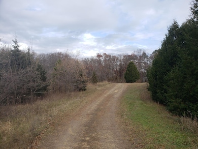 Lot 2 & 3 County Road M 202nd St, Alden Township, WI 54026 - photo 6