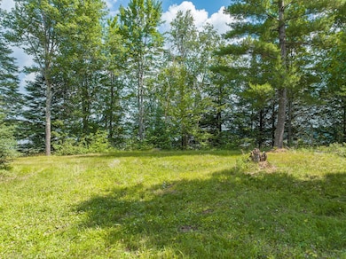 1682 E Turner Lake Rd, Lac Du Flambeau, WI 54538 - photo 3