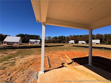 275 Elijah Way, Vass, NC 28394 - photo 7