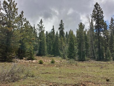 20150524_134542_Richtone(HDR)