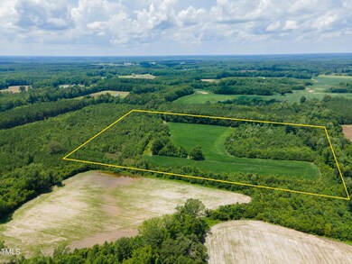 MODIFIED-2025-06-18-DJI_0195