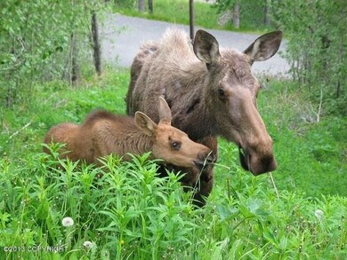 Spring visitors