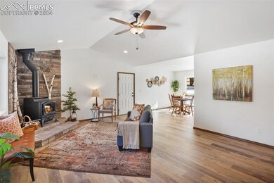 214 Turnabout Ln, Florissant, CO 80816 - photo 6