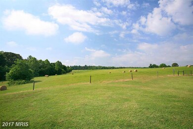 547 Panamint Farms Rd, Louisa, VA 23093 - photo 4