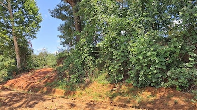 0 Gray Academy Rd unit 161240, Ashland, MS 38603 - photo 4