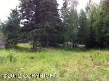 Backyard1