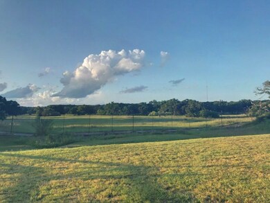 606 Prickly Pear Ct, Fredericksburg, TX 78624 - photo 3