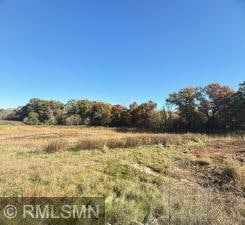 10484 56th Place N, Lake Elmo, MN 55042 - photo 3