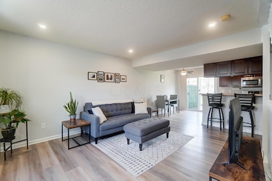 Entry/Living Room