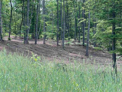 00 Jack Russell Rd unit 408-45-2, Effingham, NH 03882 - photo 3