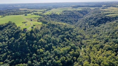 DJI_09661