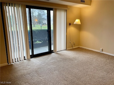 16390 Heather Ln unit 104, Middleburg Heights, OH 44130 - photo 3