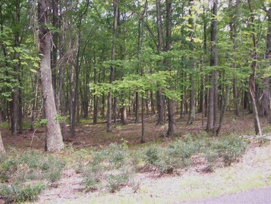 LOT 104 Lakeview Cir, Lackawaxen Township, PA 18428 - photo 3