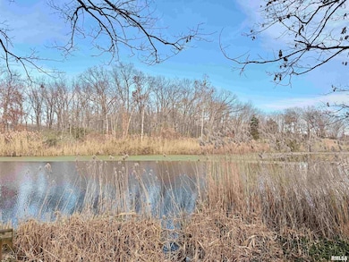 421 County Road 2400 N, Centralia, IL 62801 - photo 7