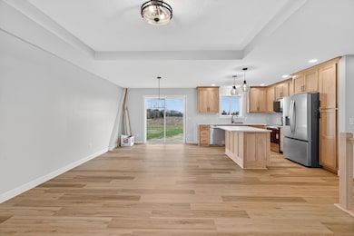 655 1st St SE, Plainview, MN 55964 - photo 6