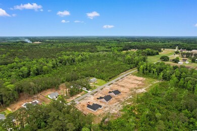 504 Cane Branch Rd unit Lot 5- Live Oak, Loris, SC 29569 - photo 3