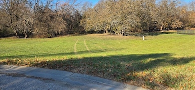 701 6th St, Baldwin City, KS 66006 - photo 2