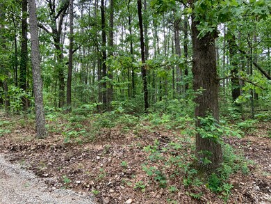 1 Acre, great building lot!