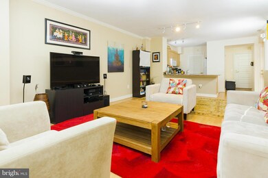 The Clara Barton at Penn Quarter unit 521, Washington, DC 20004 - photo 6