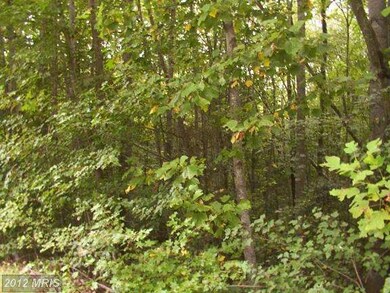 0 Vip Jon Rd unit 1003994870, Ruther Glen, VA 22546 - photo 7