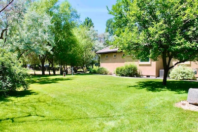 mature trees & grass side yard