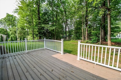 Newer Trex Deck with Vinyl Railings