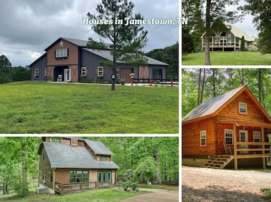 215 E Bobcat Ln E, Wilder, TN 38589 - photo 4